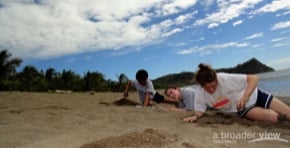  Volunteer in Costa Rica: Sea Turtle Conservation