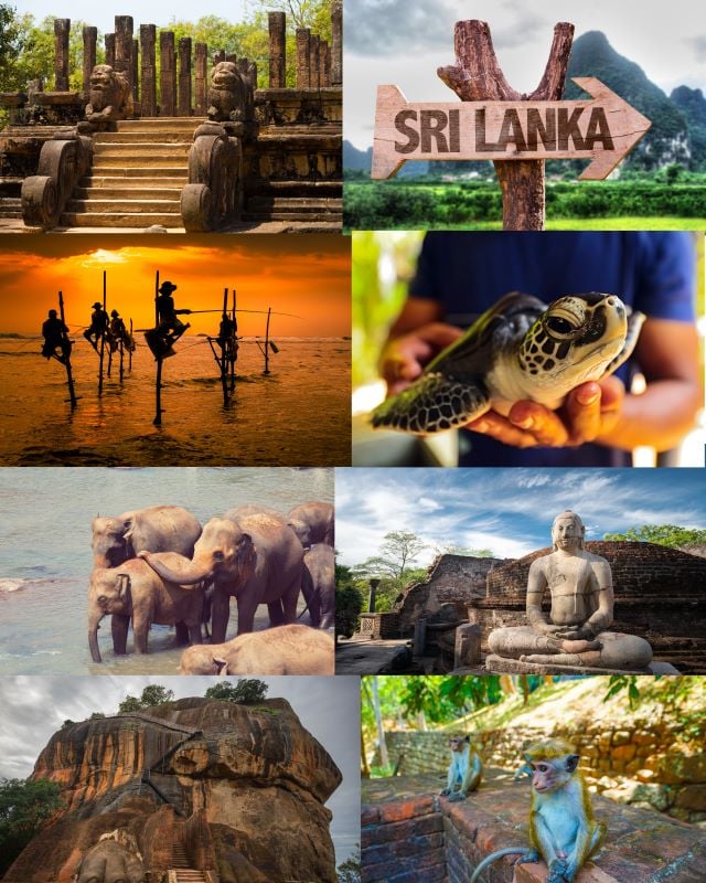 Volunteer in Sri lanka 2