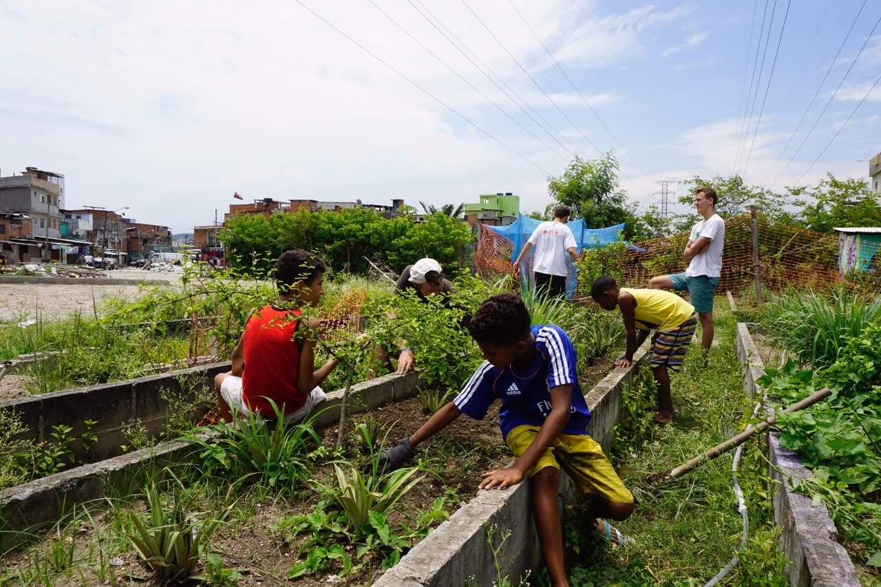 Where Can I Volunteer in Brazil and How Can I Start?