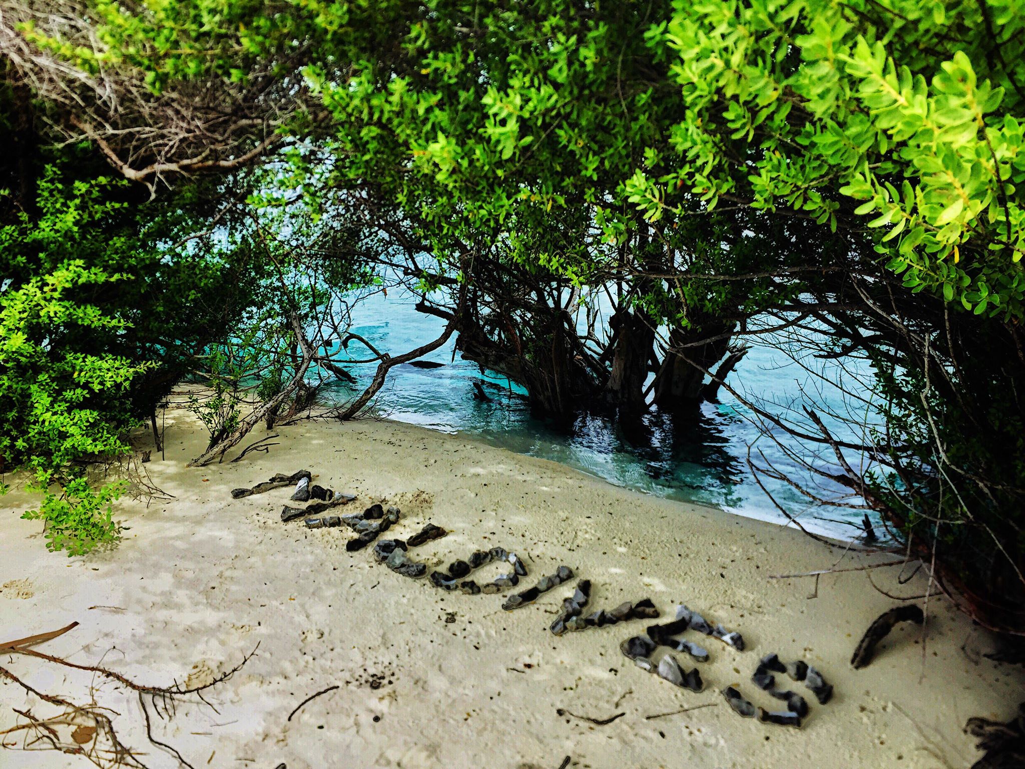 Where Can I Volunteer in Maldives and How Can I Start?