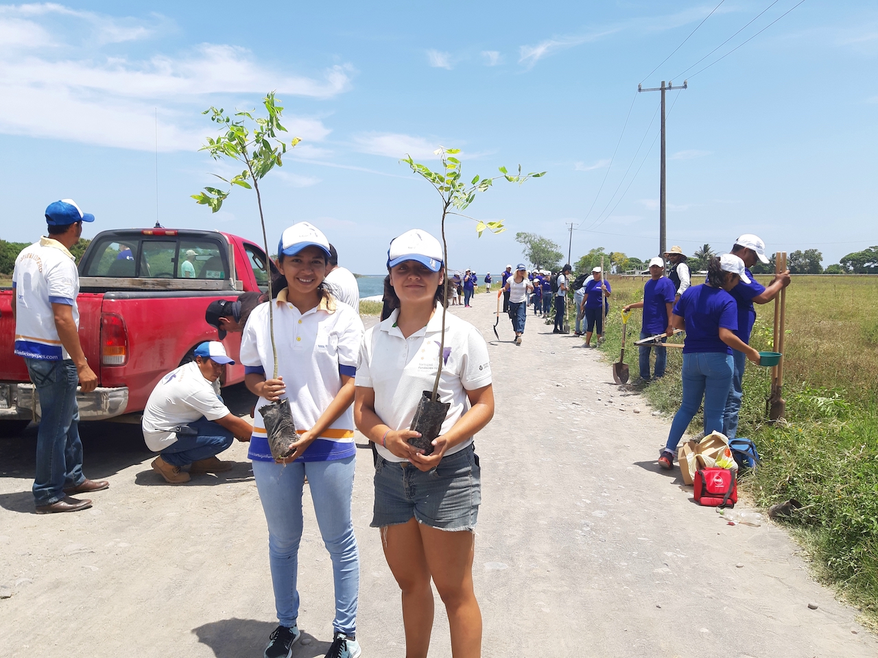 Where Can I Volunteer in Mexico and How Can I Start?