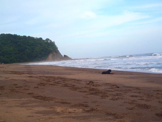 Alice Volunteer in Costa Rica, Sea Turtle Conservation