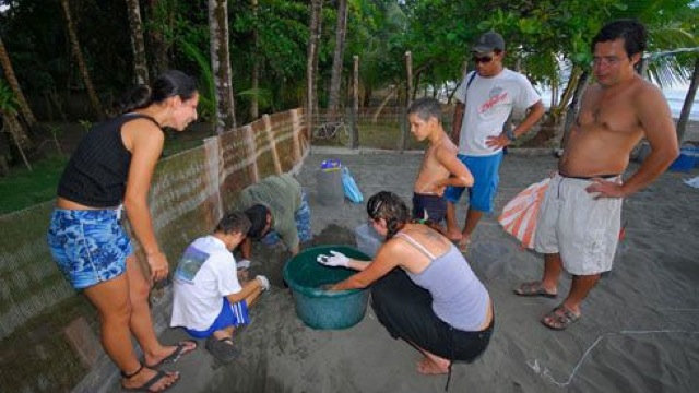 Feedback Brody Volunteer in Costa Rica