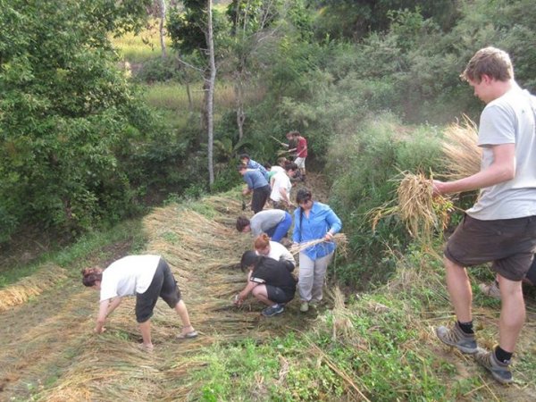 Volunteer Nepal