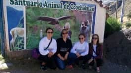 Review Patricia Martinez Volunteer in Cusco Peru at the orphanage program