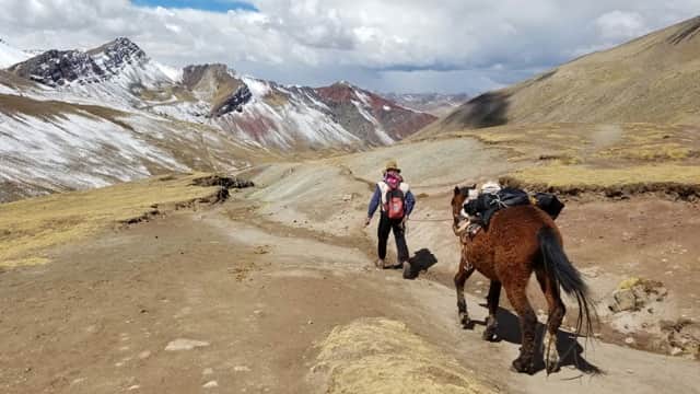 Review Rachelle Valenzuela Volunteer in Peru Cusco PreMed and Senior Center