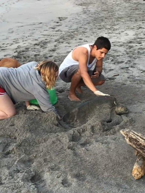 Review Devon Lombard Volunteer in Costa Rica Sea Turtle Conservation Program