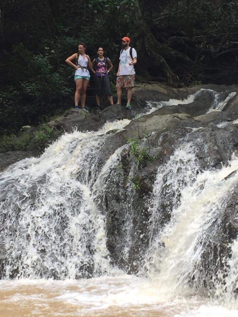 Review Perry Family Volunteers in Costa Rica at the Sea Turtle Conservation Program