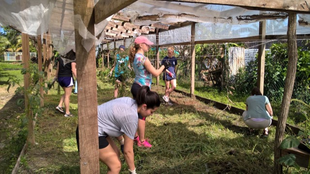 Review Volunteer Marisa Napoli Belize Orphanage - University of Dayton