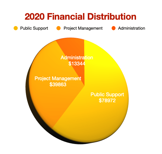 2020 Financial Distribution