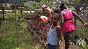 Volunteer in Belize