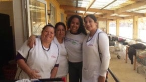 Volunteer in chile