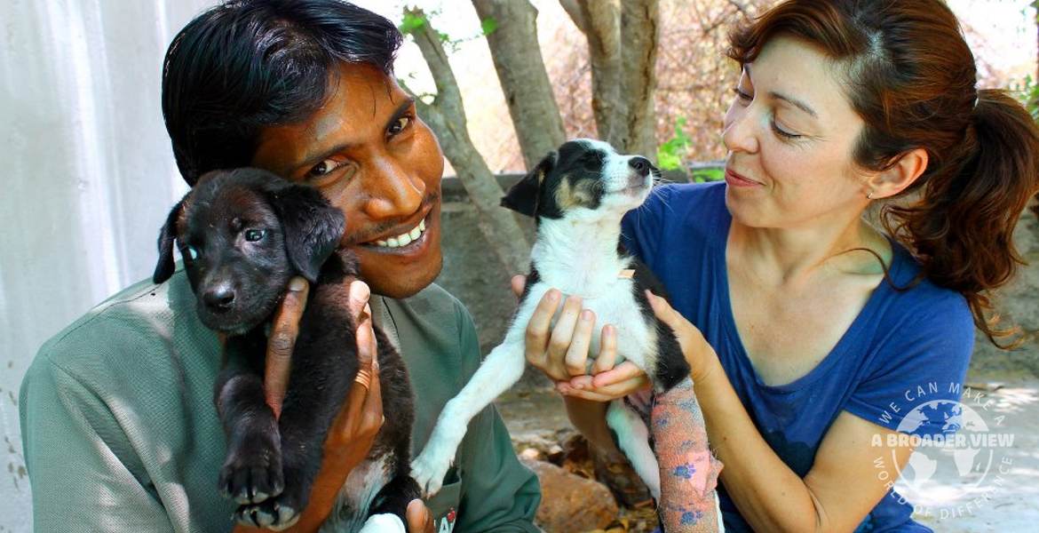 Volunteer in India jaipur Animal Care